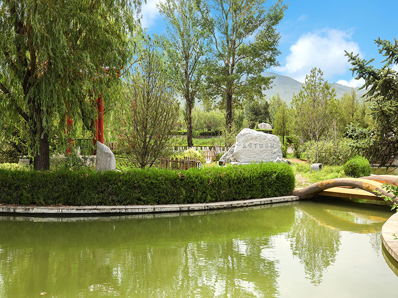 长青园骨灰林安置所如何(有墓地买卖吗) 长青园骨灰林安置所如何(有墓地买卖吗)