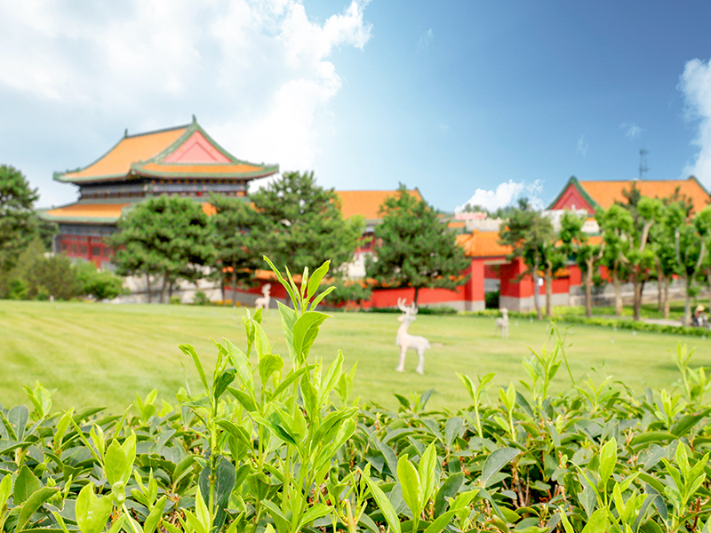 杭州钱江陵园清明期间用预约吗(钱江陵园怎么样) 杭州钱江陵园清明期间用预约吗(钱江陵园怎么样)