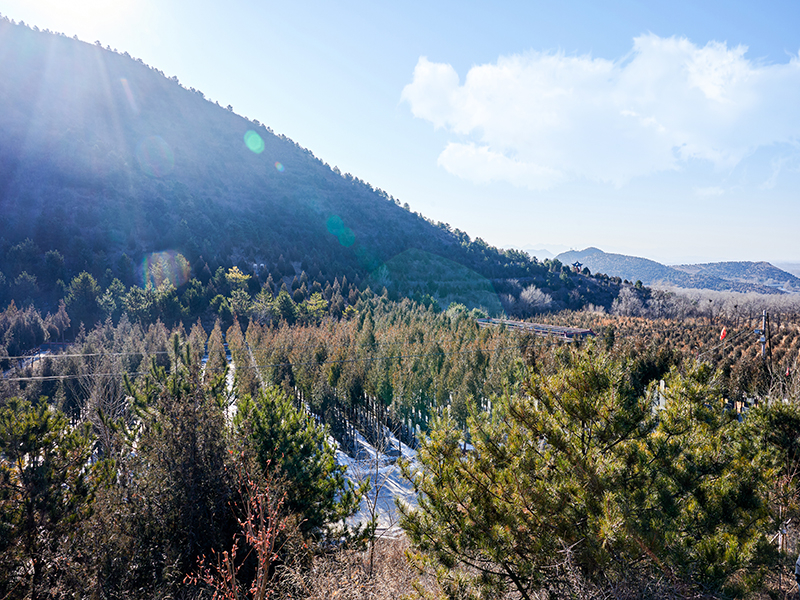 九里山公墓二区和九龙山公墓怎么选？两个陵园各自的优点是什么？