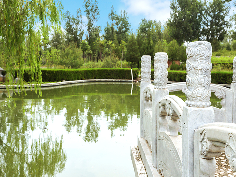 中华永久陵园树葬怎么样(中华永久陵园树葬价格) 中华永久陵园树葬怎么样(中华永久陵园树葬价格)