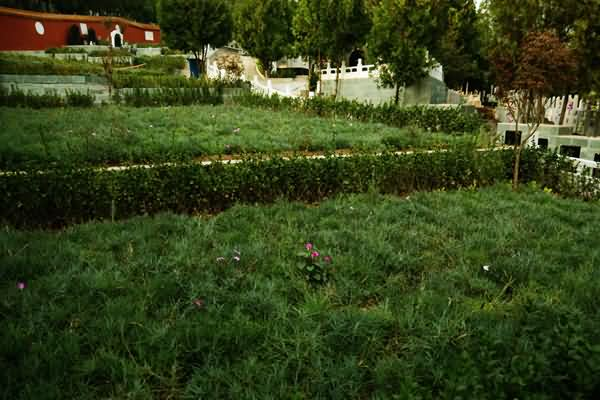 太子峪陵园在哪里(太子峪陵园对外出售吗) 太子峪陵园在哪里(太子峪陵园对外出售吗)