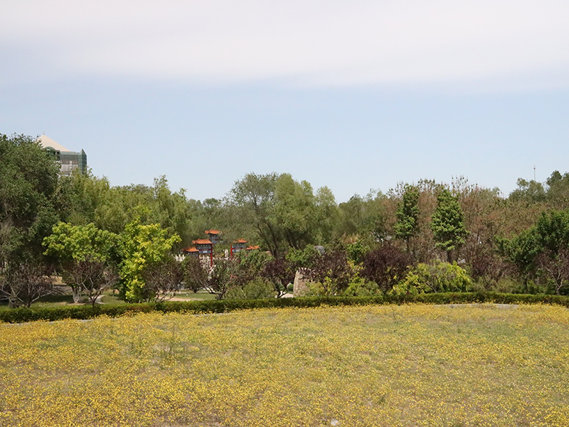 潮白陵园环境怎么样(潮白陵园价格多少) 潮白陵园环境怎么样(潮白陵园价格多少)