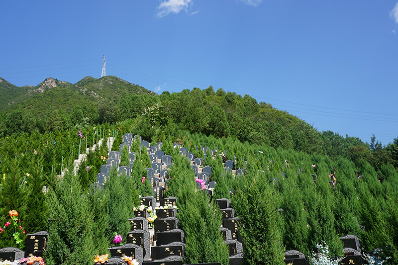 北斗七星在葬礼中有什么说法(哪里嫩买到北斗七星的棺床) 北斗七星在葬礼中有什么说法(哪里嫩买到北斗七星的棺床)